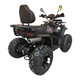 Квадроцикл SmartBalance Patrul 200